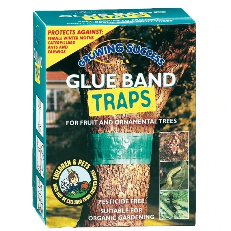 Westland | Growing Success Glue Band Trap