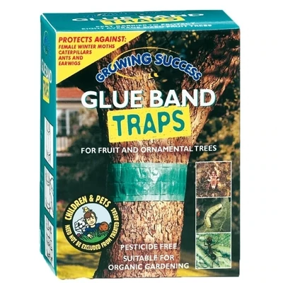 * Westland | Growing Success Glue Band Trap