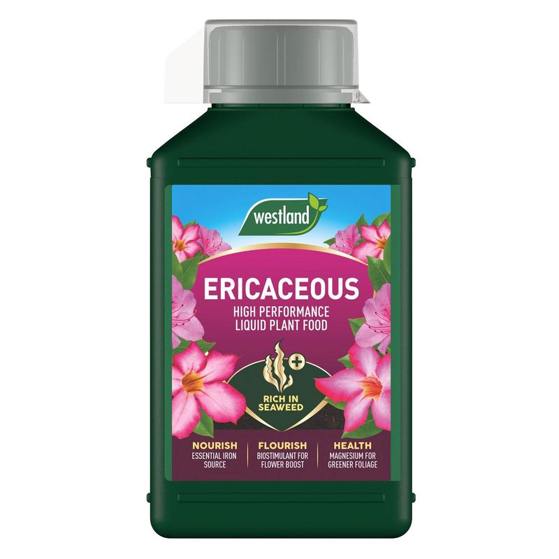 Westland | Ericaceous Specialist Liquid Feed 1L