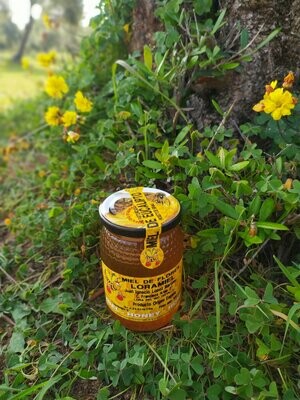 Tarro de miel de EUCALIPTO 1/2KG