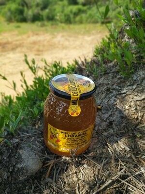 Tarro de miel de EUCALIPTO 1KG
