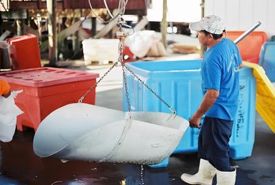 worker in a fish and seafood processing plant