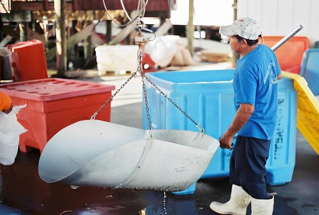 worker in a fish and seafood processing plant