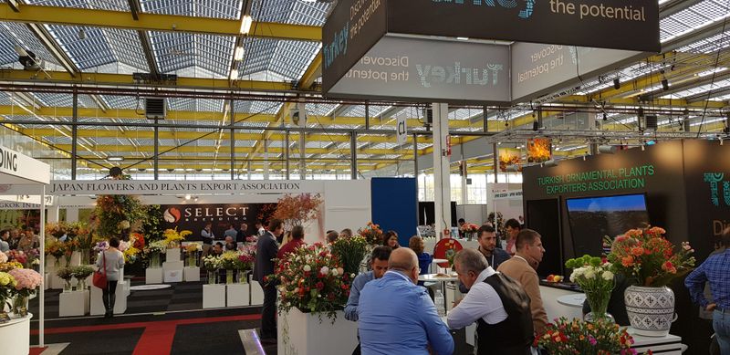 IFTF 2018 edition in the Expo Greater Amsterdam