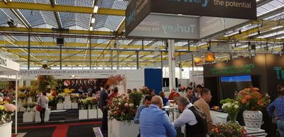 IFTF 2018 edition in the Expo Greater Amsterdam