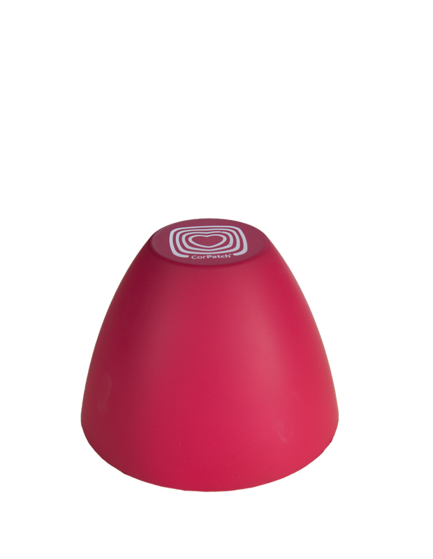 CorPatch Trainingskissen