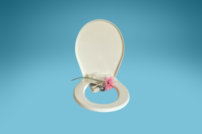 Siège de WC
