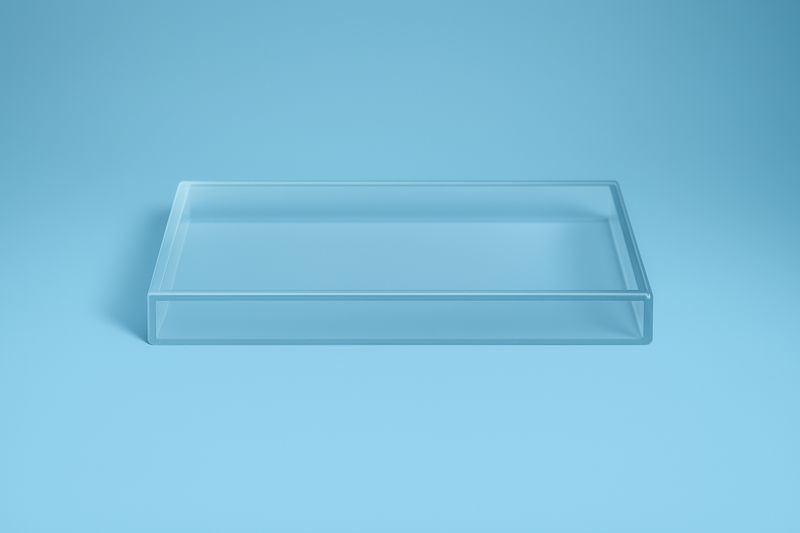 Plexiglas 100 x 50 mm