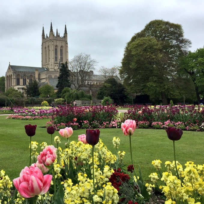 Wednesday 8th May - Bury St Edmunds on Market Day & Peter Beales Roses on Return-