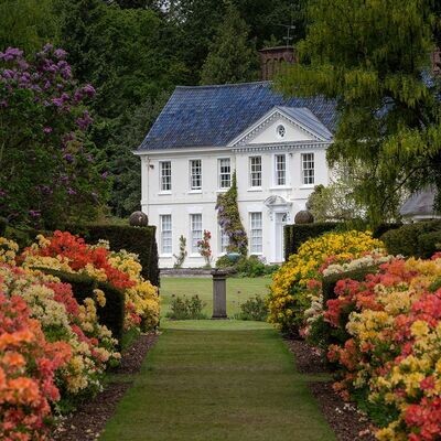 Friday 17th May - Stody Lodge Rhododendrons with Cream Tea & Fakenham Garden Centre -