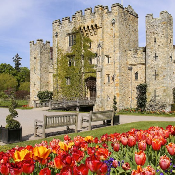 Saturday 6th July - Hever Castle in Bloom -