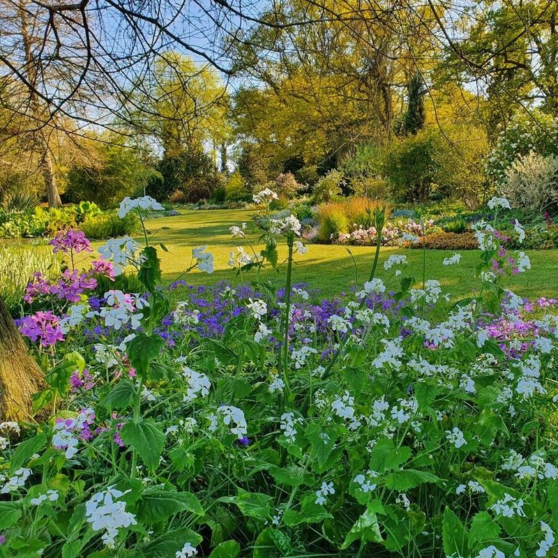 Tuesday 12th August - Beth Chatto Gardens & Colchester at Leisure