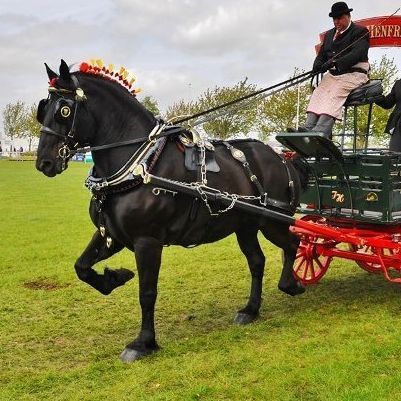 Saturday 13th September - Sandringham Game & Country Fair