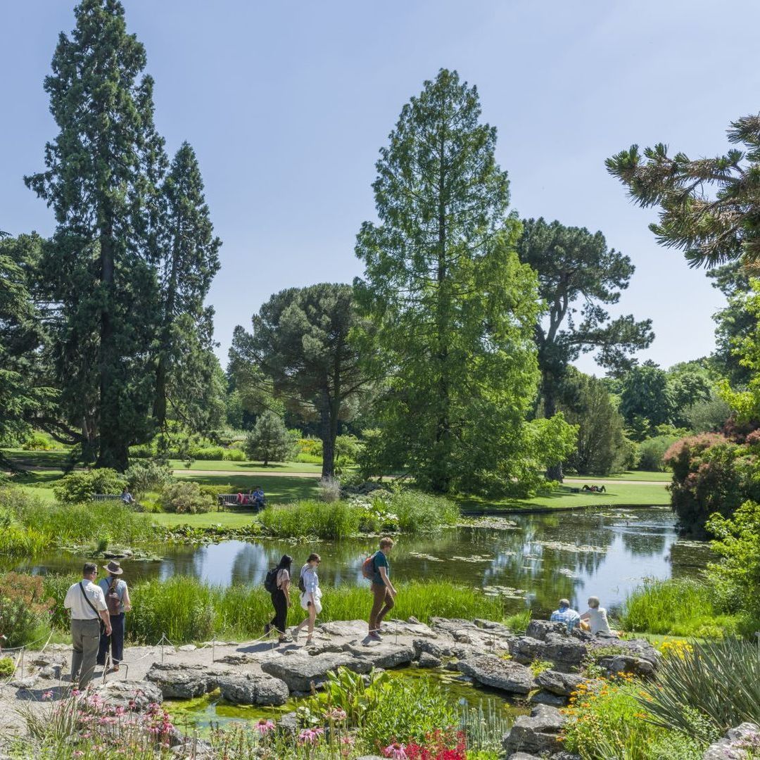 Tuesday 23rd September - Cambridge at Leisure & Afternoon at University Botanic Gardens