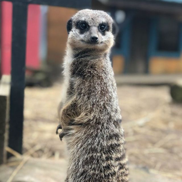 Wednesday 22nd October - Lincolnshire Wildlife Park