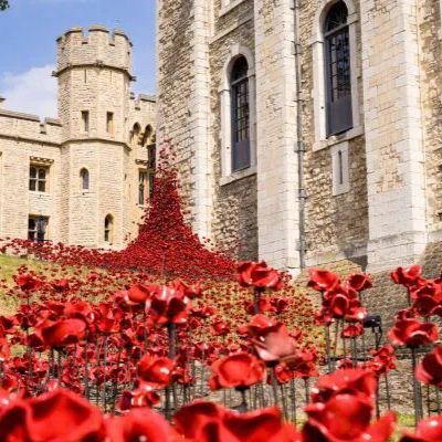 Friday 7th November - Tower of London & The Tower Remembers Poppy Exhibition