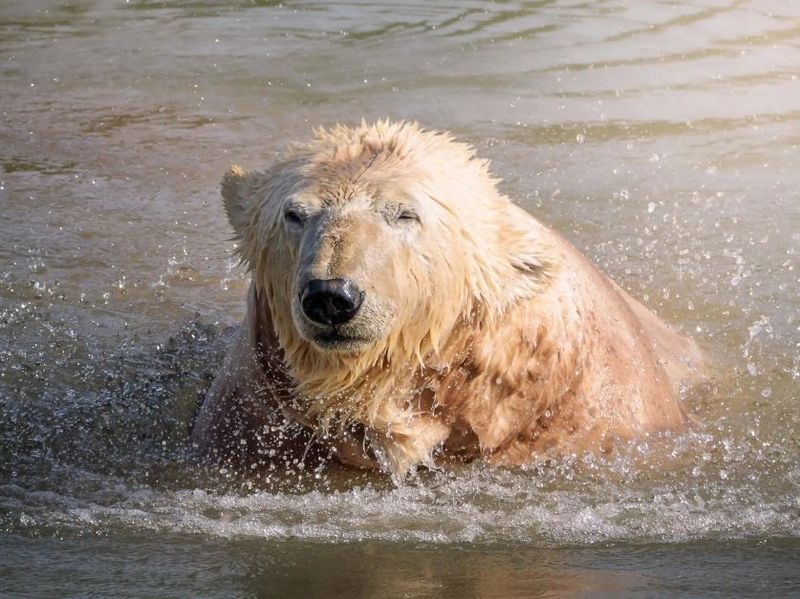 Wednesday 27th May - Jimmy's Farm & Wildlife Park - FH8 Wednesday 27th May - Jimmy's Farm & Wildlife Park - FH8