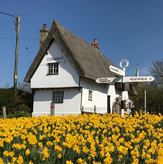 Saturday 13th March Thriplow Daffodil Festival & Country Fair - FH7