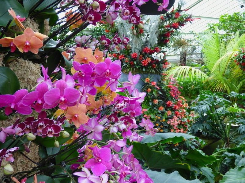 Friday 28th August - Kew Gardens in the Summer - WR00