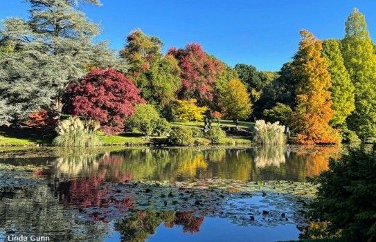 Monday 26th October - Autumn Colours of Chippenham Park With Free Time in Newmarket - FH8