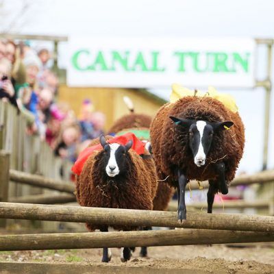 Tuesday 30th March Springtime at Cannon Hall Farm - Lambing season - as seen on TV! - WR00