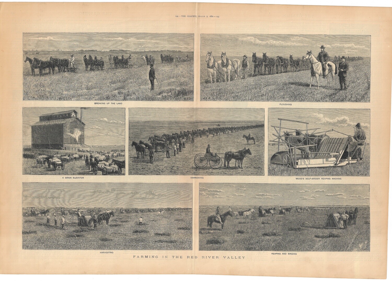 1880 View of Farming the Red River Valley