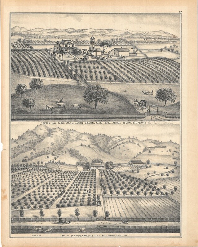1877 View of BrookHill Farm and Carr Estates Santa Rosa
