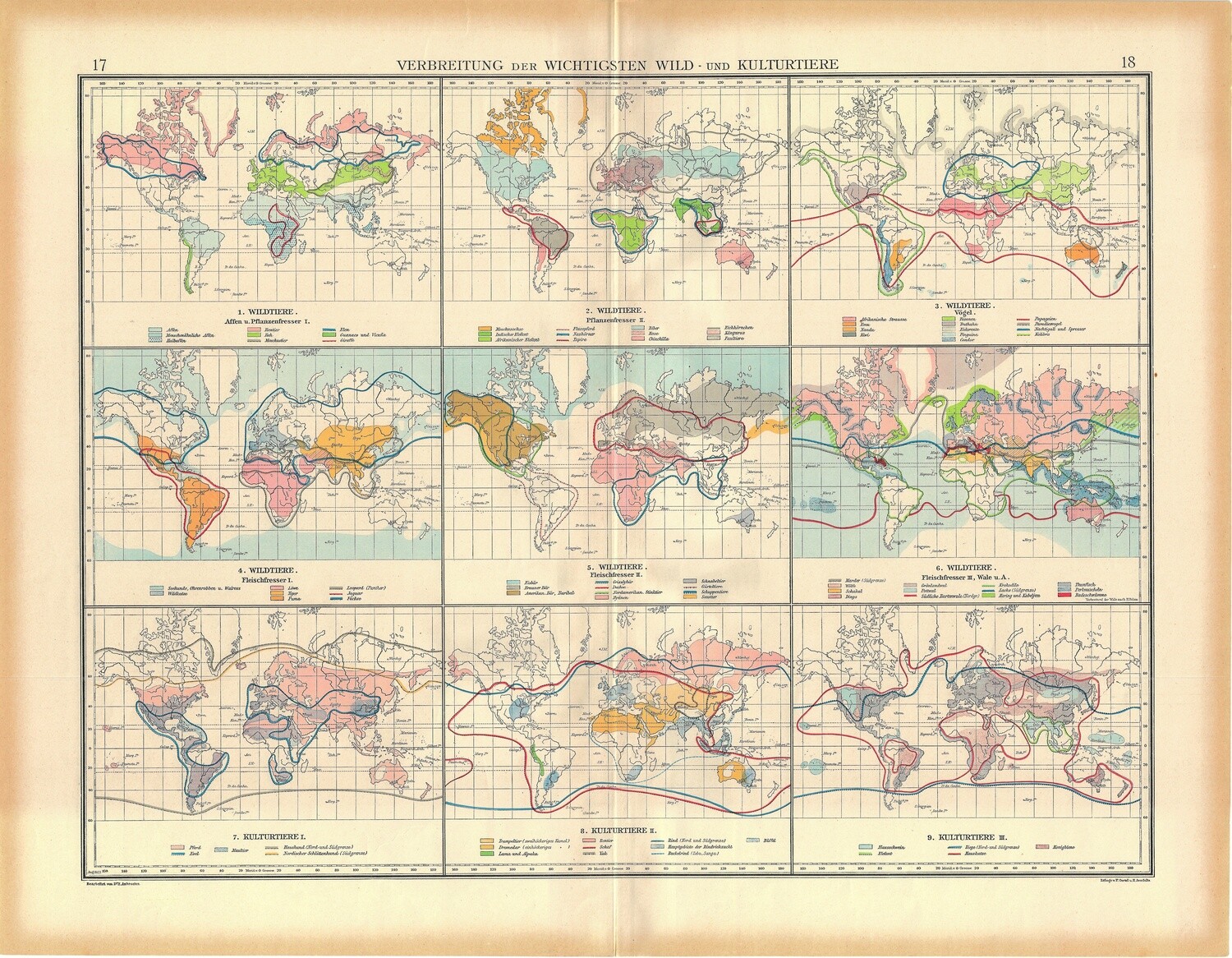 1923 Map of Worlds Flora and Fauna by Stieler in  Chromolithography 