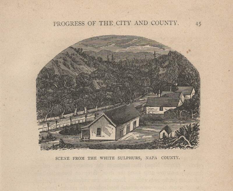 1873 Scene from the White Sulphurs, Napa County