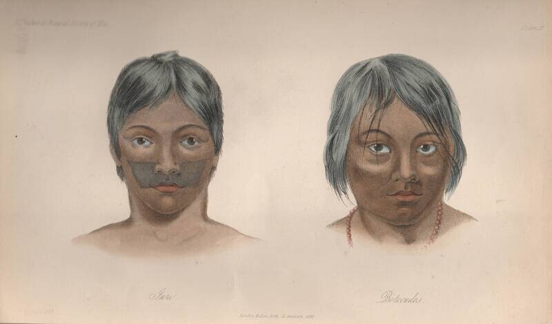 1844 Native Peoples of Brazil, SA by Pritchards Histopry of Man 1st edition