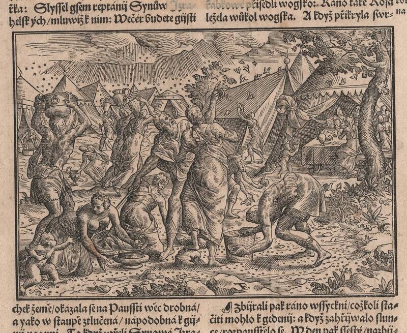 1491 Woodblock Engraving of Manna from the Heavens