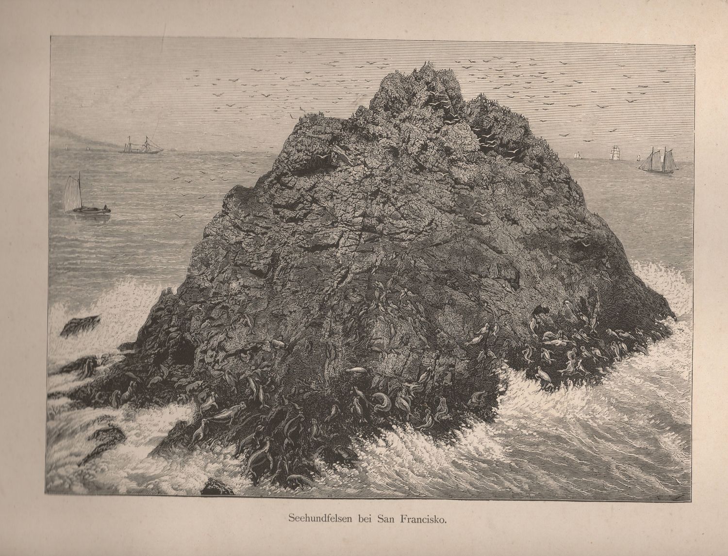 1875 View of Seal Rocks San Francisco 