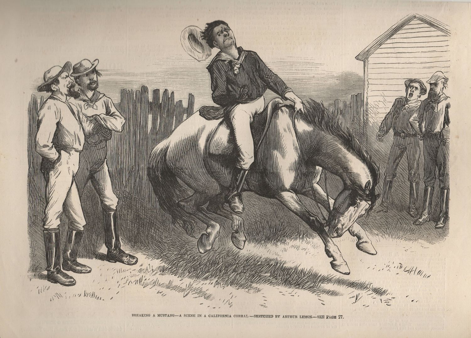 1881 Breaking a Mustang Scene in California 