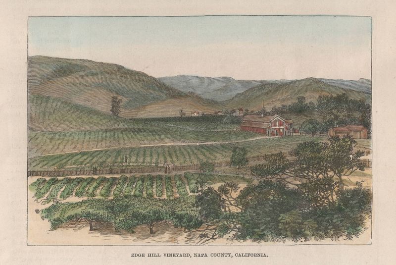 1873 Woodblock view of Edge Hill Vineyards, Napa Co. CA 