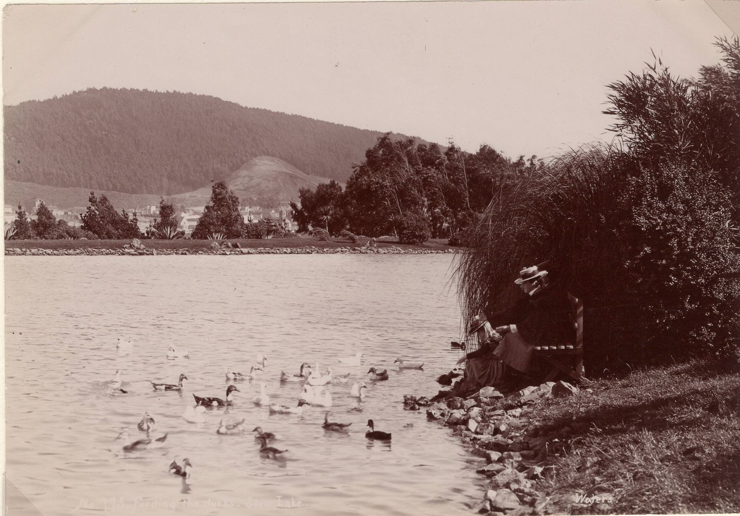 1905 Lake Merced Photograph looking north 