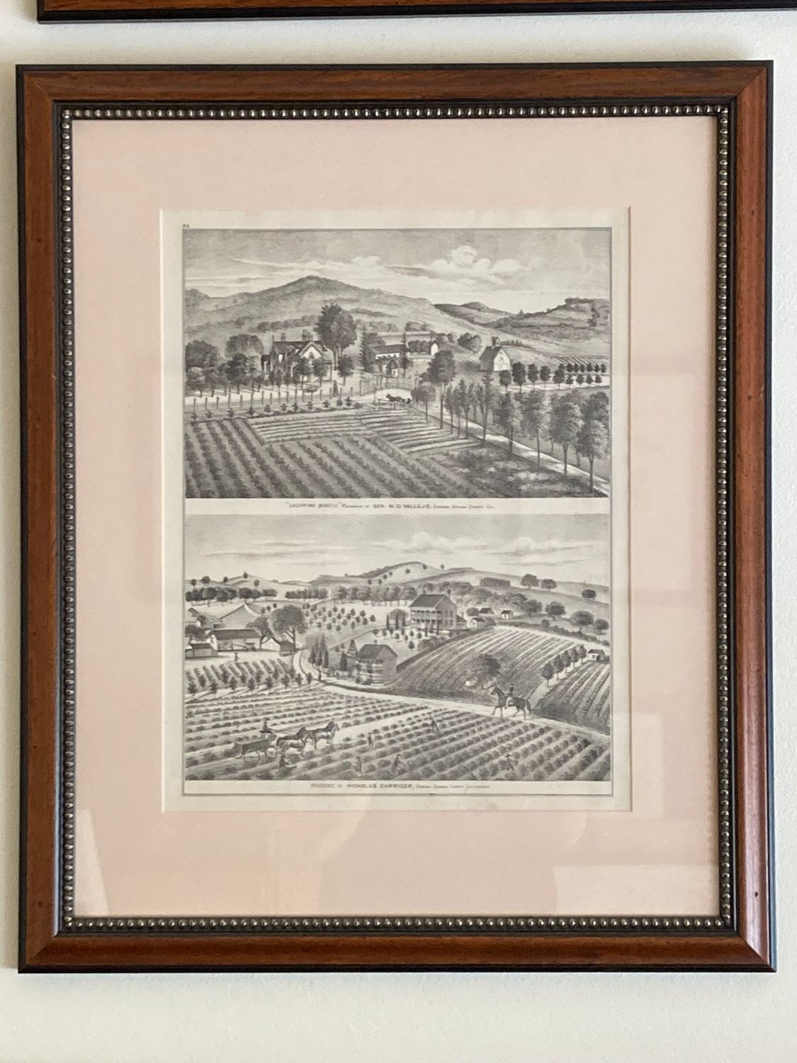 1878 View of the Residences of M.G. Vallejo and Carriger from Thompson and west