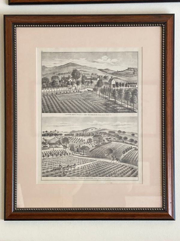 1878 View of the Residences of M.G. Vallejo and Carriger from Thompson and west