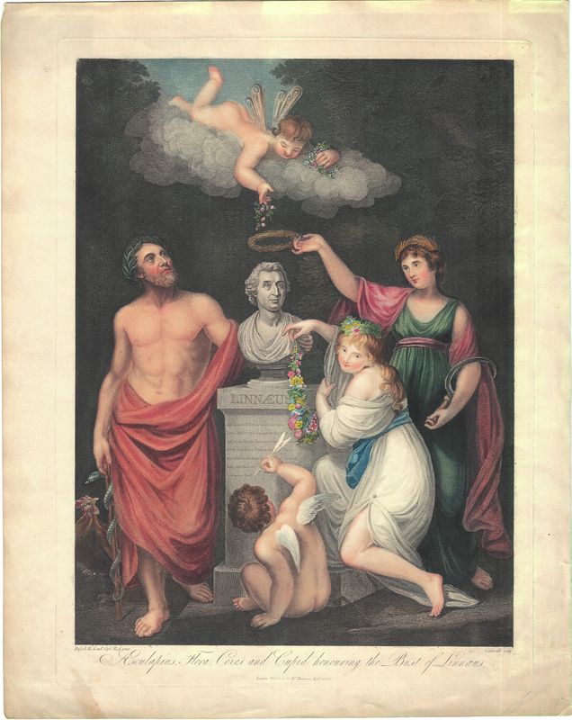 1806 View of Asculapius, Flora, Ceres and Cupid honoring the Bust of Linnaessus