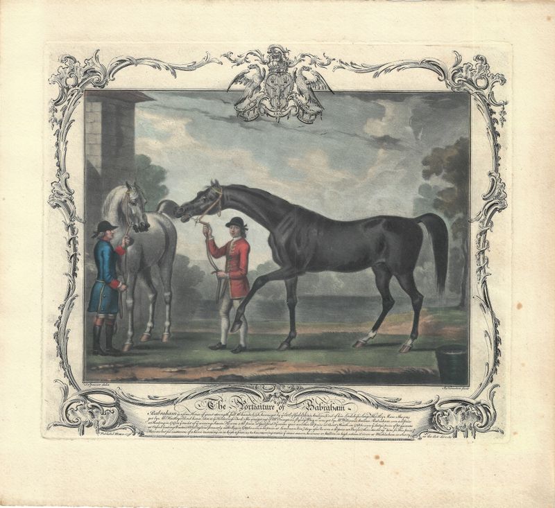 1736 Copper Engraved Portraiture of Babraham the Horse  w/OHC