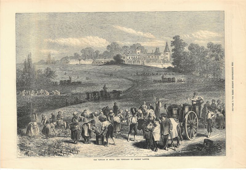 1871 The Vintage in Medoc at Chateau Lafitte