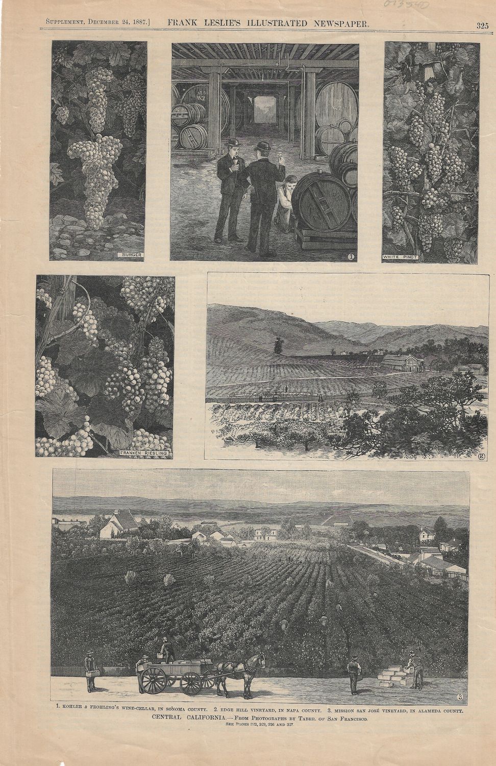 1887 View of Central (Northern) California Wineries &amp; Grapes
