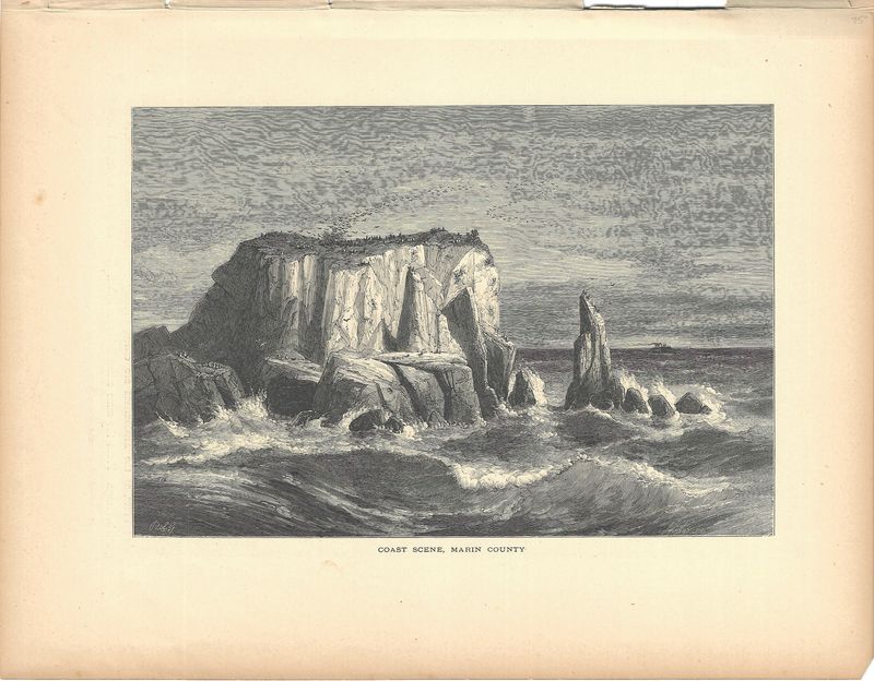 1873 Coast Scene in Marin County from Picturesque America