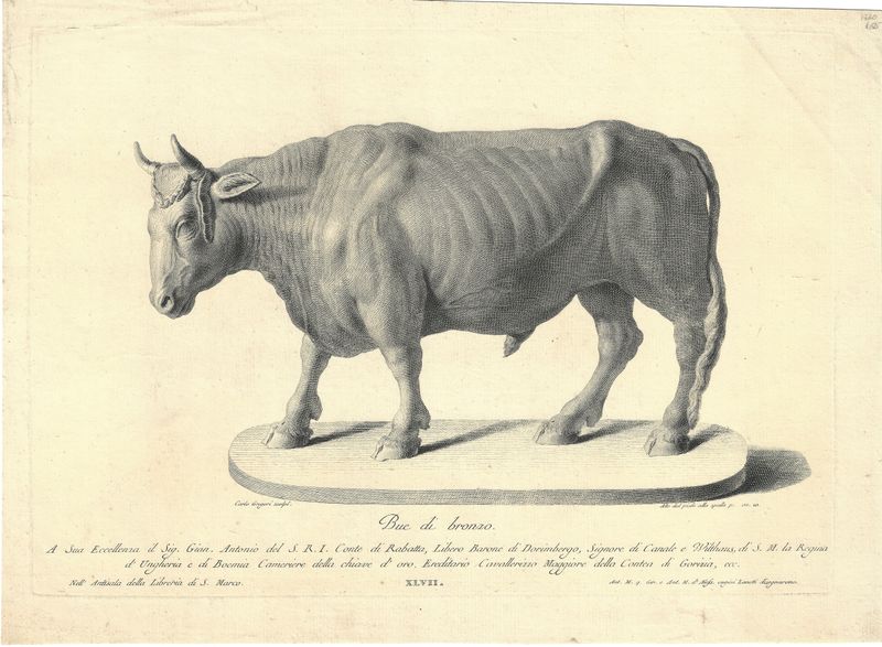 1720 Bue di Bronzo Copper Engraved Image of a Bull statue .