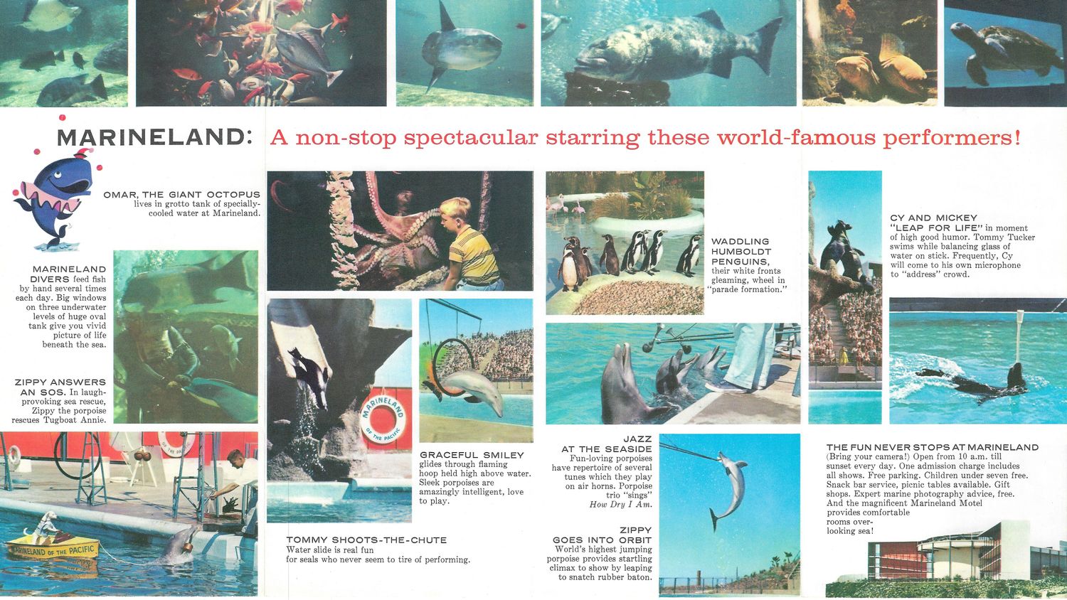 1960 Marineland of the Pacific brochure