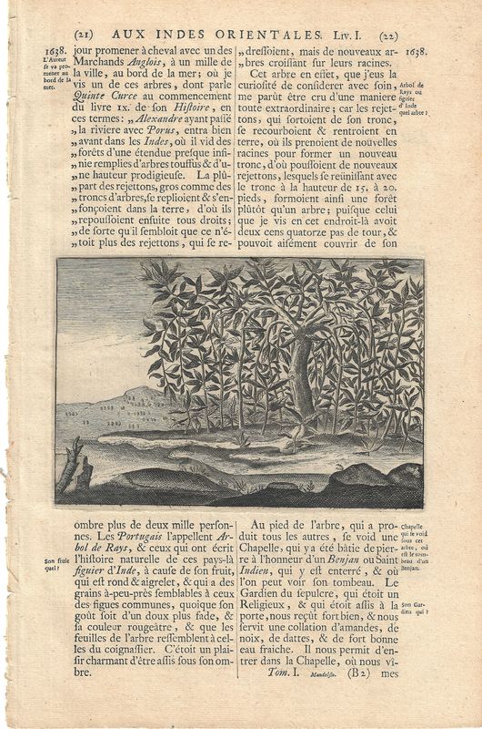 1719 Van Der Aa edition of Mandelslo Voyages Celebres et Remarquables- Individual folios