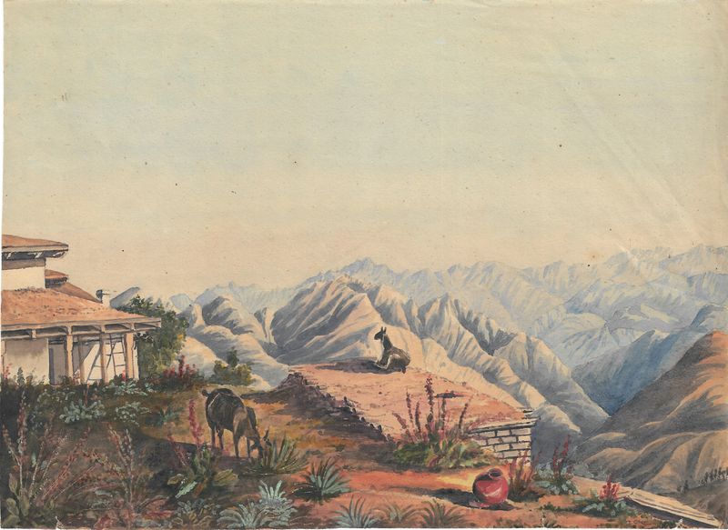 1889 Original Painting on Paper of Punjab India
