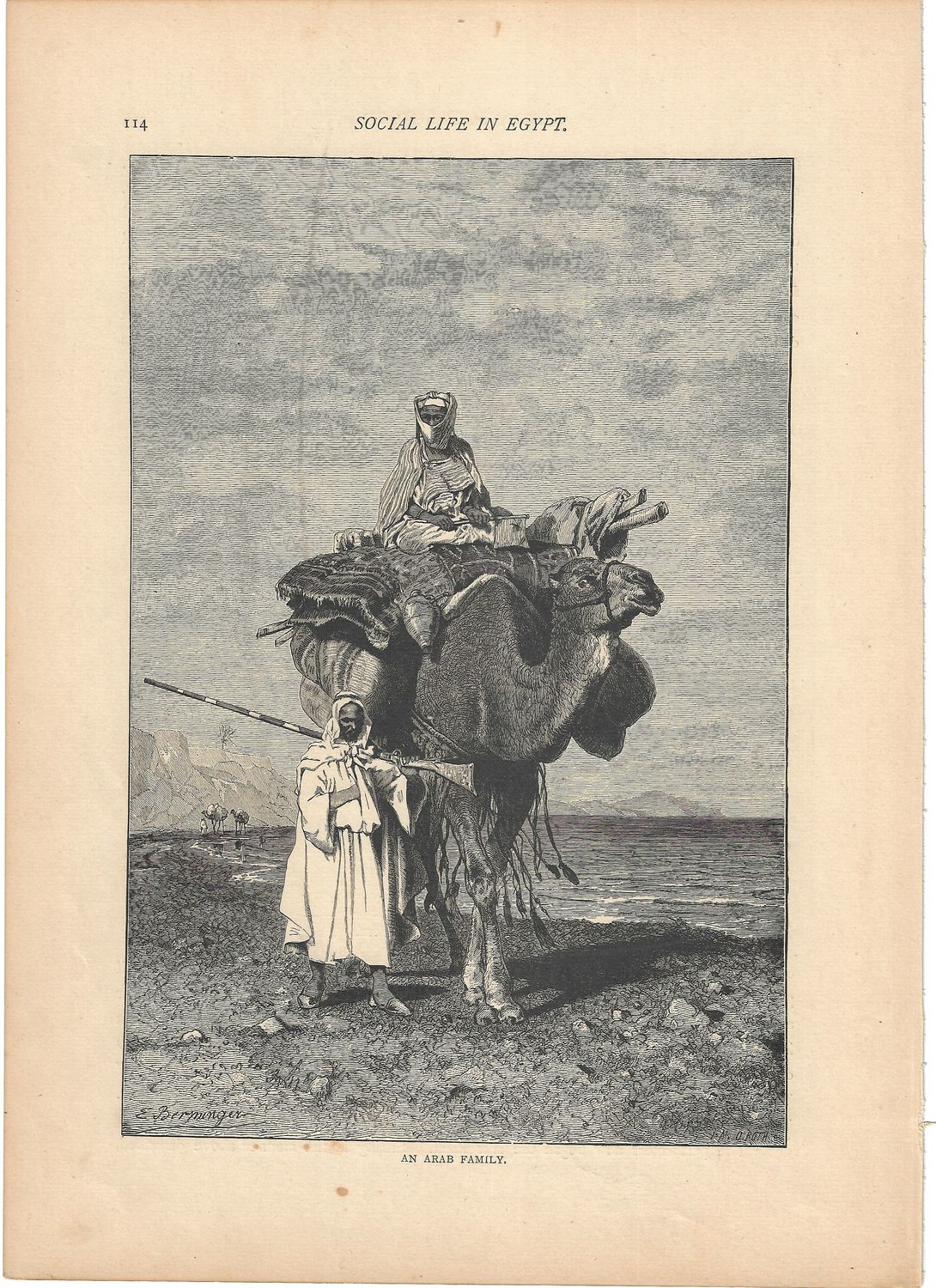 1873 Views of Egypt - Group of Images w/ Text