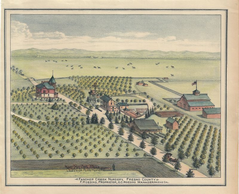 1895 View of Fancher Creek Nursery, Fresno County (Roeding Family)
