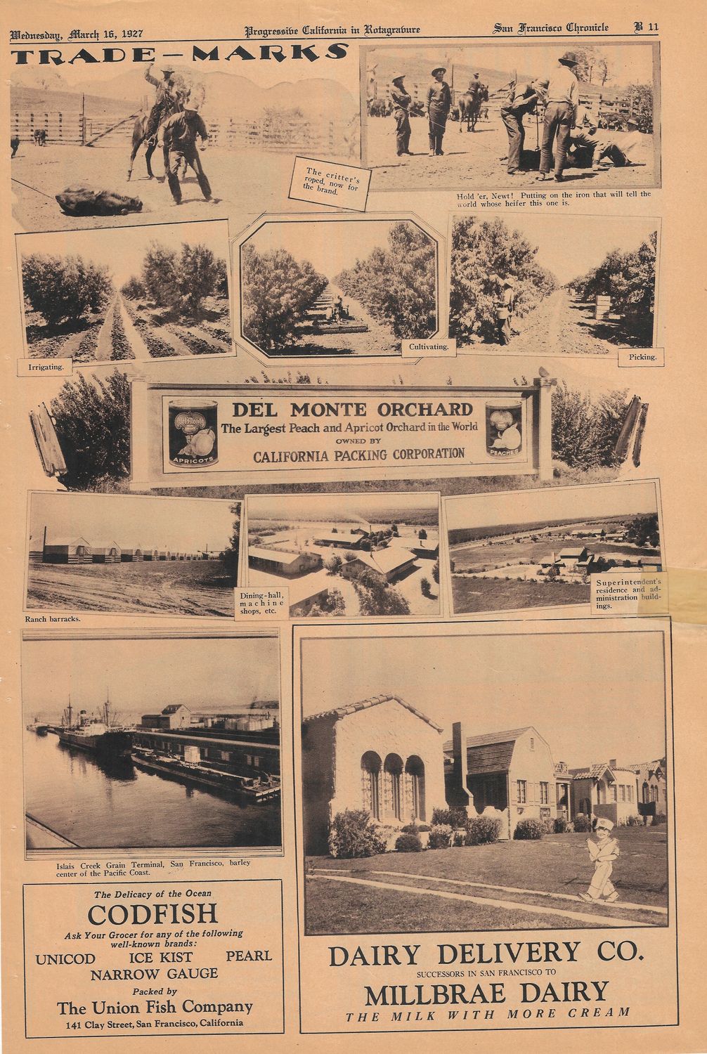 1927 Views of Agriculture of the Bay Area from the SF Chronicle