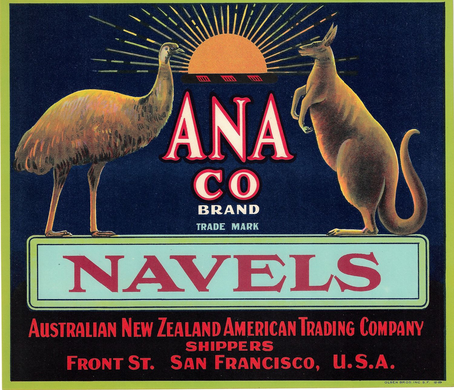 20th Century Fruit Label - Anaco Navel Oranges of San Francisco